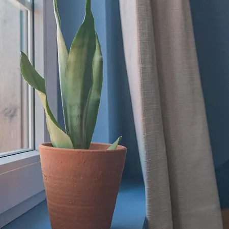 Wanderlust Belgium Holiday home Ostend
